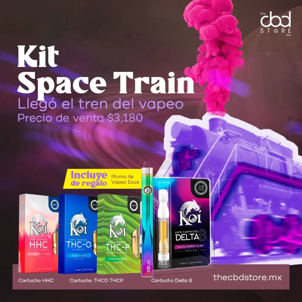 Kit Space Train