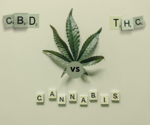 THE CBD STORE MX CBD THC DIFERENCIAS