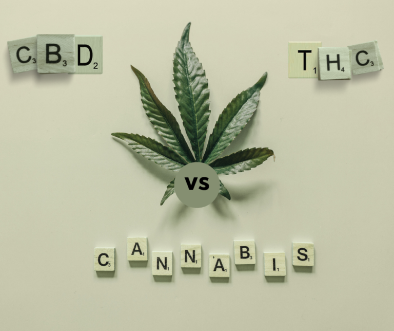 THE CBD STORE MX CBD THC DIFERENCIAS